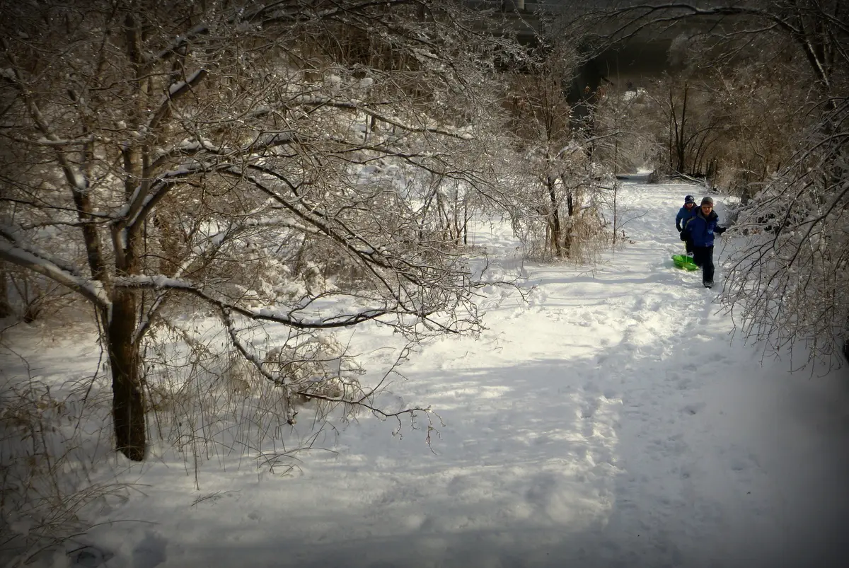 A snow-covered trail winding through bare trees beside the Humber River, with a walker on the path ahead.